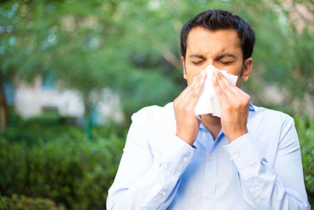 2053154 5 Tips for Surviving Fall Allergies
