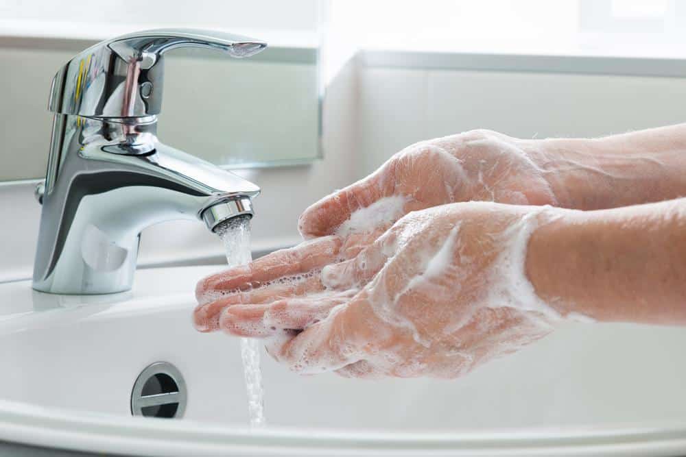 2183121 3 things you need to do AFTER you get home from the grocery store!