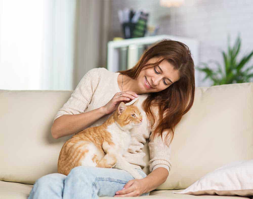 Allergic To Cats Allergic To Cats, Arizona