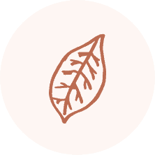 Allergies Detection and Treatment Allergies Detection and Treatment Services at Sinus and Allergy Wellness Center in Scottsdale, AZ